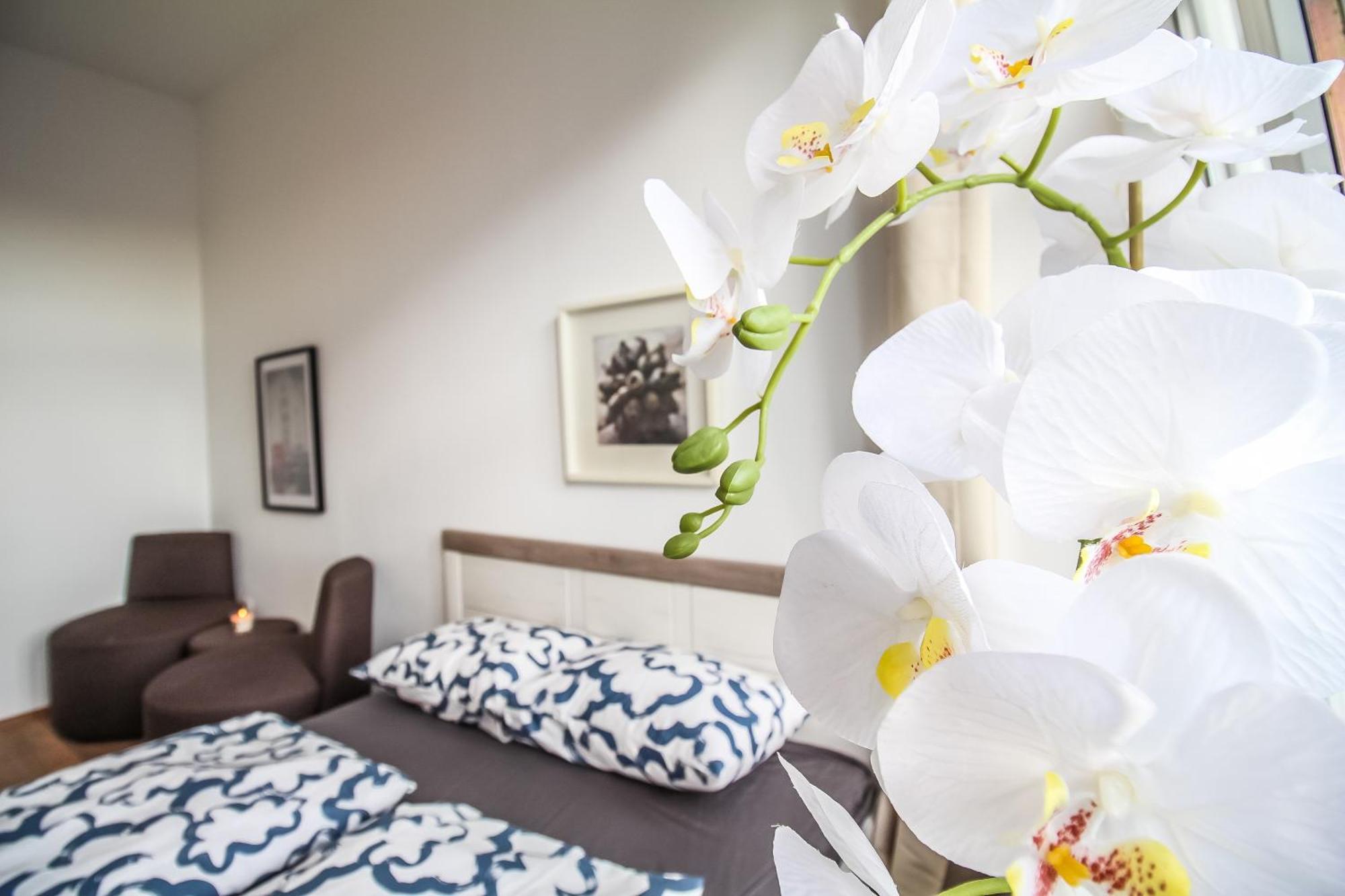Disc Cozy Rooms In Liesing Wina Bagian luar foto